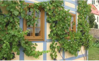 In Der Alten Weinstube Freital Exteriér fotografie