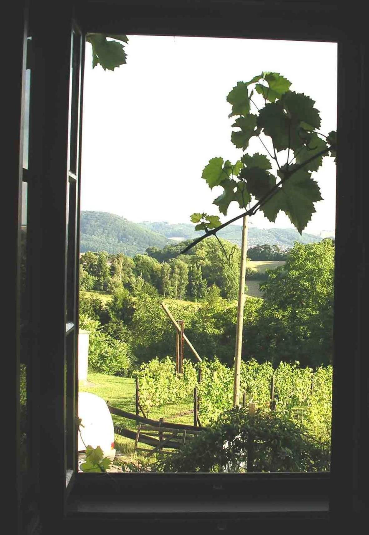 In Der Alten Weinstube Freital Exteriér fotografie